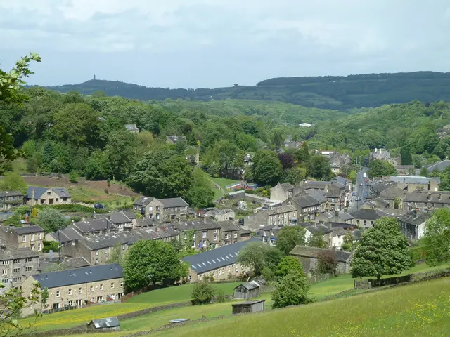 These are the houses with windows. This looks like a hill with the grass. These are the trees. In...
