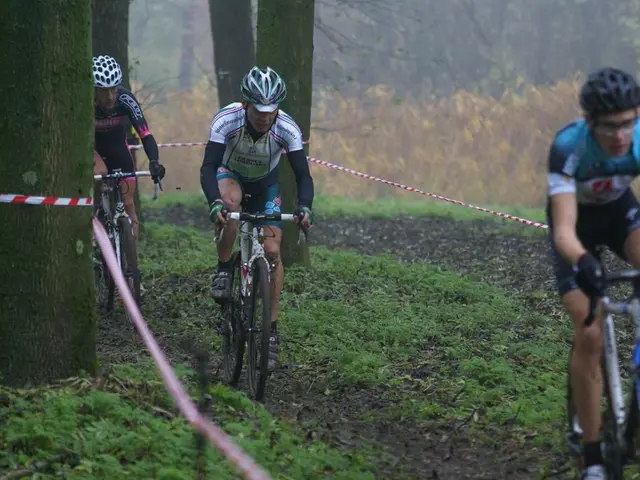 There are three persons wearing helmets and gloves. They are riding cycles. There are trees. And...