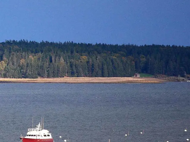 In this image there are some ships sailing on the water, behind that there are so many trees.