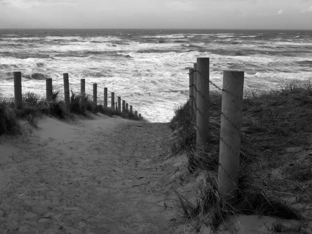This is the black and white picture with an ocean in the back, in the front there is a path with...