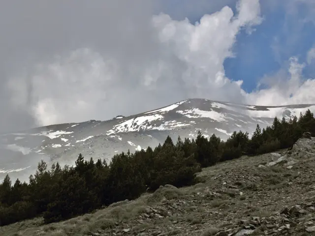 There are trees, stones, grass on the hill. In the background, there is a snow hill and there are...