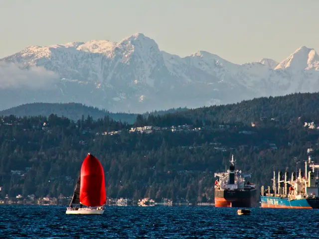In this image we can see some ships in a large water body. We can also see some buildings, a group...
