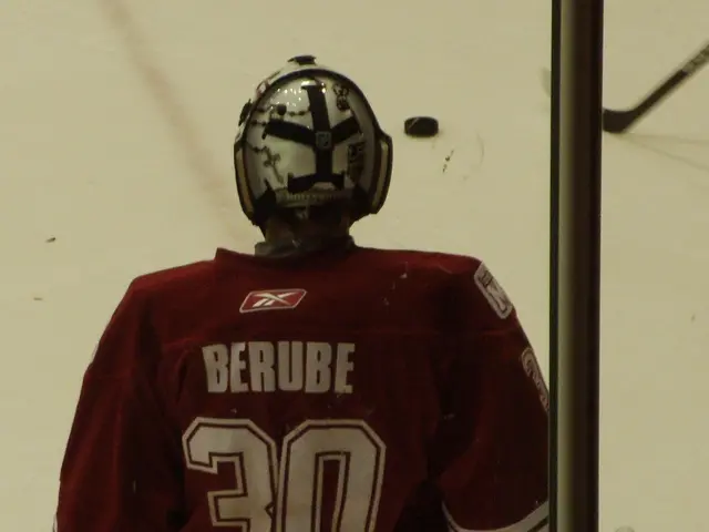 The image shows a hockey player standing on the ice in front of a goal, wearing a helmet, gloves,...