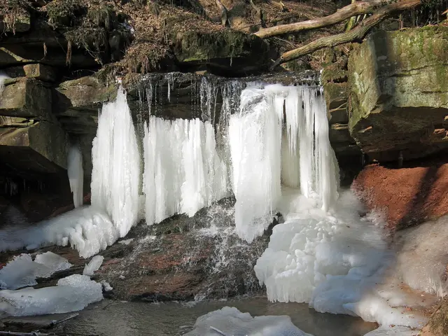 The image shows a small waterfall cascading down a rocky cliff in the woods, surrounded by trees...