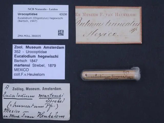 The image shows a small piece of paper with a label on it next to a small vial of eucalodium, which...