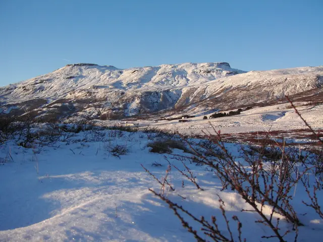 The image shows a snow covered mountain with a few plants in the foreground and a clear sky in the...