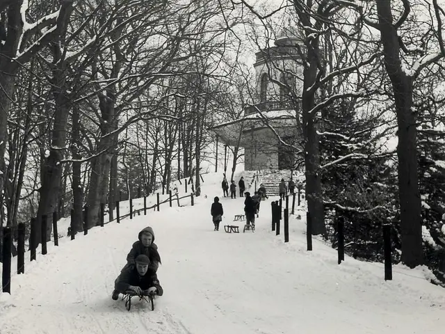 The image shows a black and white photo of people sledding down a snowy hill in a park. There are...