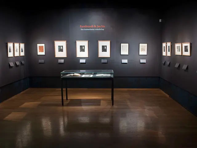 The image shows an installation view of the exhibition 'emanations the art of the cameraless...