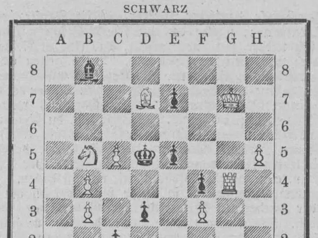 The image shows a chess board with a black and white chess piece on it, along with alphabets and...