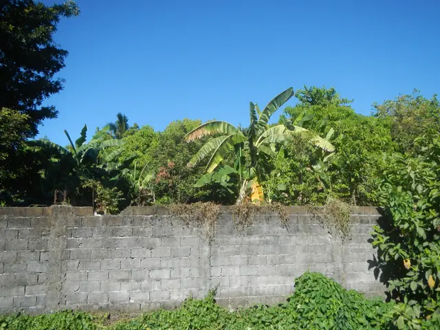 The image shows a retaining wall in the middle of a lush green forest, with a bright blue sky in...