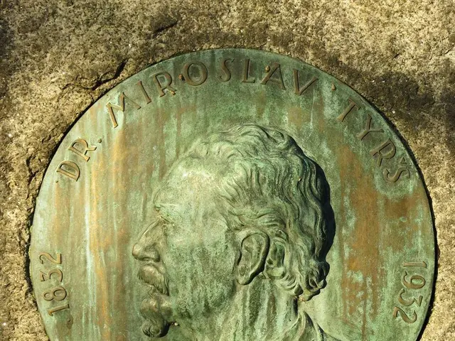 The image shows a bronze plaque on the side of a stone wall depicting a portrait of Dr. Miroslav...