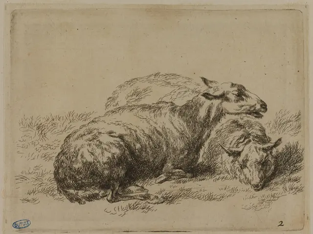 The image shows a drawing of two sheep laying in the grass on a paper with some text written on it....