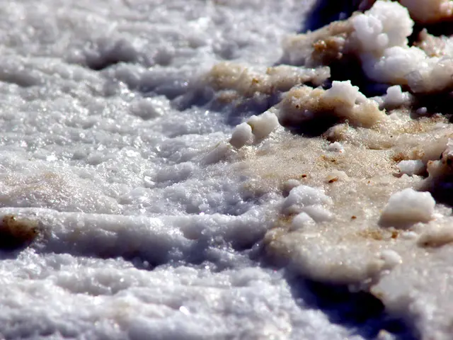 The image shows a close up of a snow covered ground with a lot of snow on it, and in the center of...