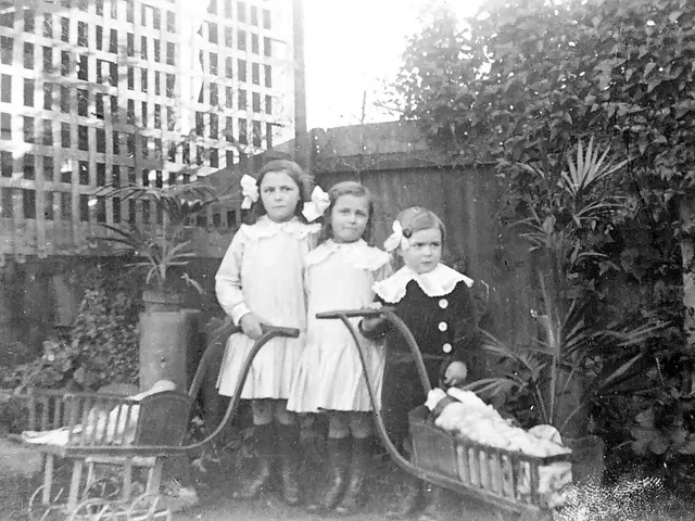 The image shows three young girls standing next to each other in a garden, each holding a trolley....