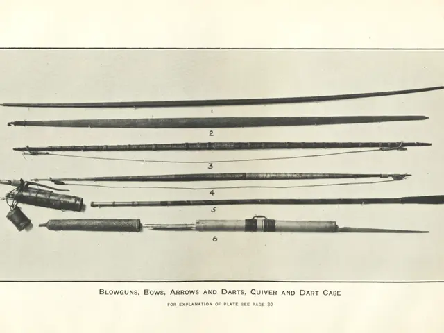The image shows a page from a book with a drawing of a variety of weapons, including arrows,...