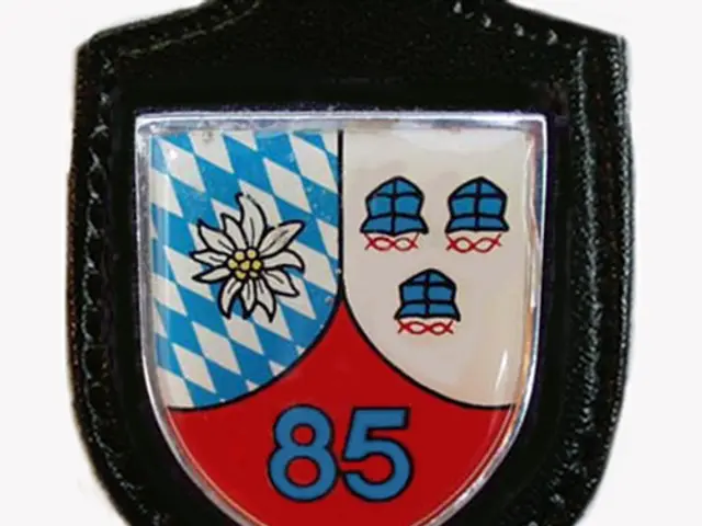 The image shows a badge with the number 85 on it, which is the logo of the Bavarian football team....