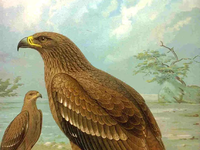 The image shows a painting of two tawny eagles perched atop a rock, surrounded by trees, water, and...