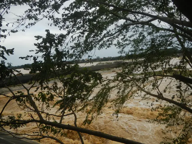 The image shows a flooded river with trees in the foreground and a cloudy sky in the background....