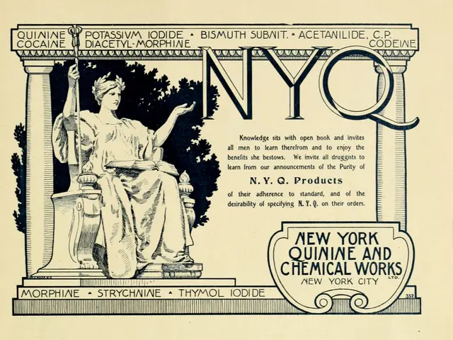 The image shows a poster with text and a picture of a woman sitting on a chair. The woman is...