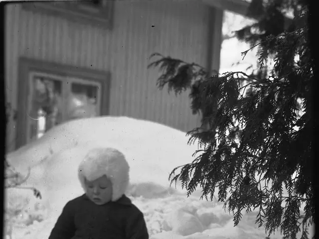 The image shows a little boy standing in the snow next to a tree, with a house in the background....