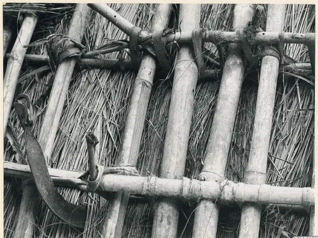 The image shows a black and white photo of a thatched roof made up of wooden sticks and grass.