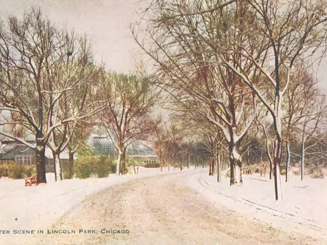 The image shows a winter scene in Lincoln Park, Chicago, with snow on the ground, trees, plants,...