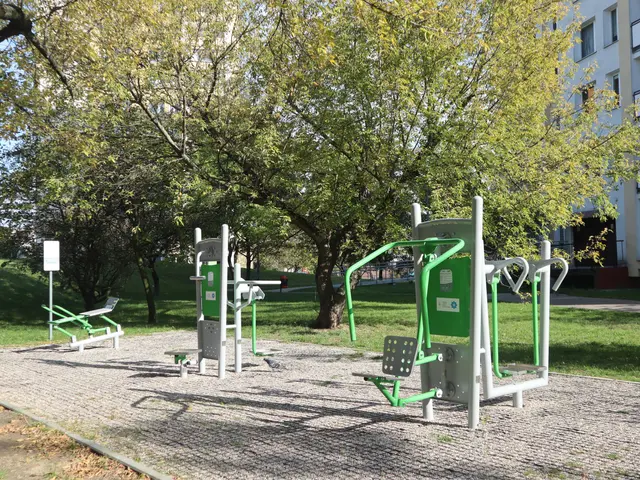 The image shows a park with a variety of outdoor fitness equipment, including a bench and a tree,...