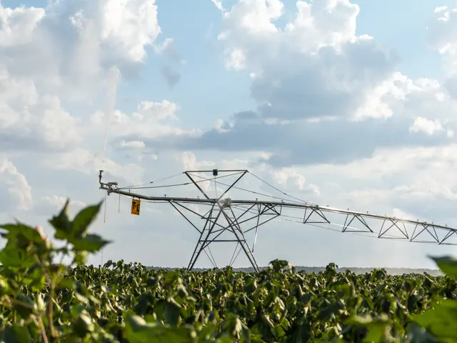 The image shows an irrigation system in the middle of a field, with an iron frame structure in the...
