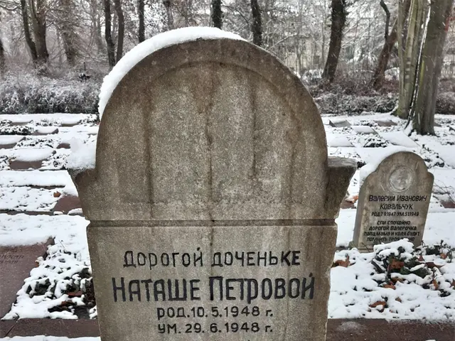 The image shows a gravestone in a cemetery covered in snow, with text inscribed on it. In the...