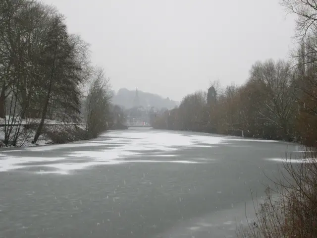 The image shows a frozen lake in the middle of a snowy park, surrounded by trees and plants. The...