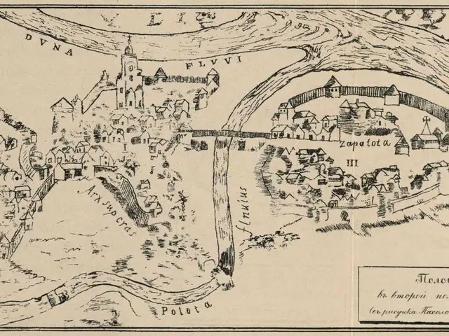 The image shows an old map of the city of Vilnius, Lithuania, with a tree in the center. The map is...