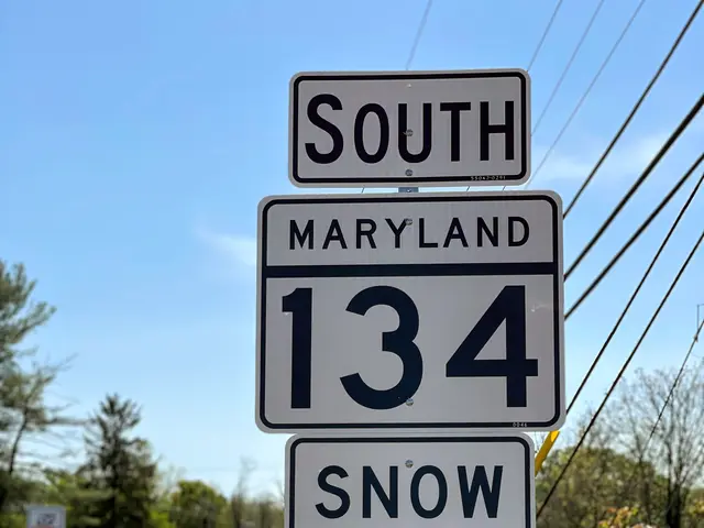 The image shows a snow emergency route sign on the side of a road, surrounded by trees, plants, and...