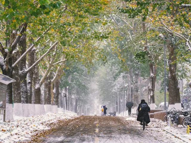 The image shows people walking down a snowy street with umbrellas, surrounded by trees covered in a...