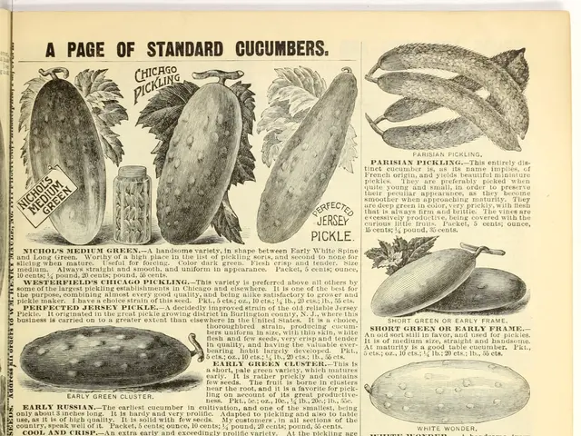 The image shows an open book with a variety of vegetables, including cucumbers, on it. The page of...