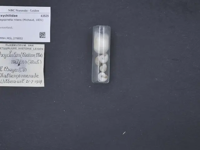 The image shows a small glass vial filled with white pills sitting on top of a black table, with a...