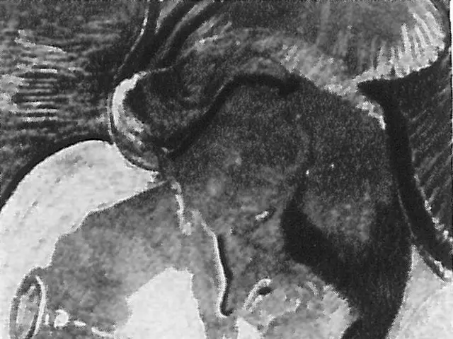 The image shows a black and white drawing of a man and woman embracing and kissing. The man is...