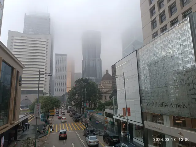 The image shows a city street filled with lots of traffic on a foggy day. We can see vehicles on...