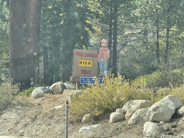 The image shows a sign on the side of a road in the woods with a picture of a person on it,...