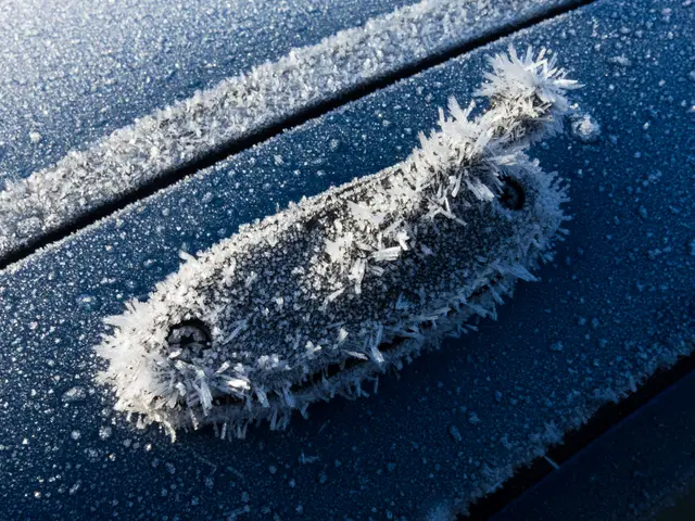 The image shows a close up of a car's hood covered in frost, with a wiper blade visible in the...