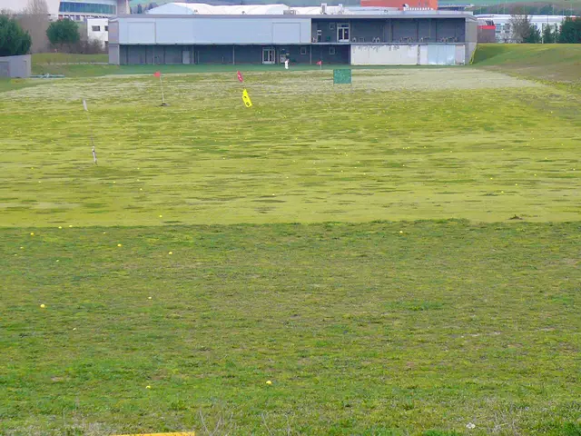 The image shows a golf course with lush green grass and yellow flags scattered across it. In the...