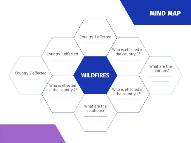 The image shows a mind map with the words "Wildfires" on it, providing a visual representation of...