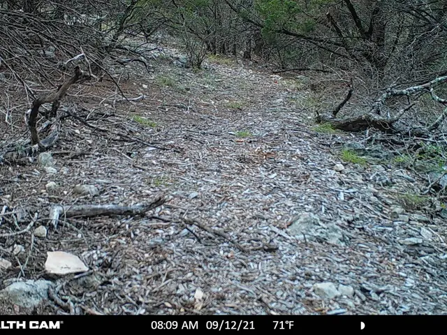 The image shows a trail in the woods with rocks and trees on either side. At the bottom of the...