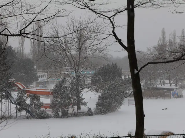 The image shows a snow covered park with trees in the foreground, a fence at the bottom, and a sky...