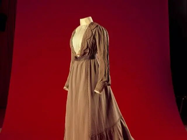 The image shows a dress on a mannequin in front of a red backdrop, with a dark background. The...