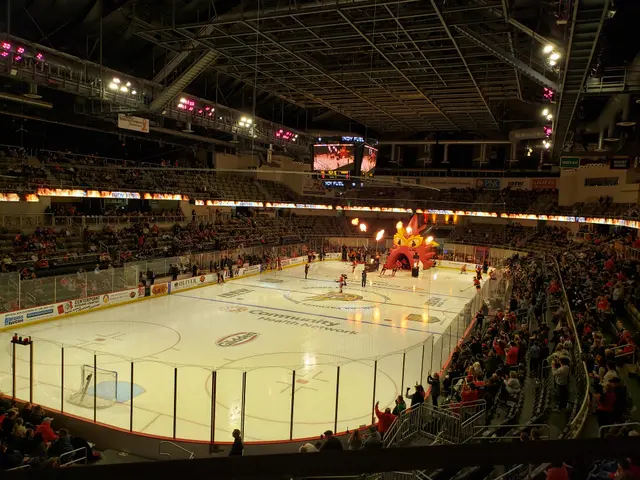 The image shows a hockey game being played in a large arena, with a group of people sitting on...