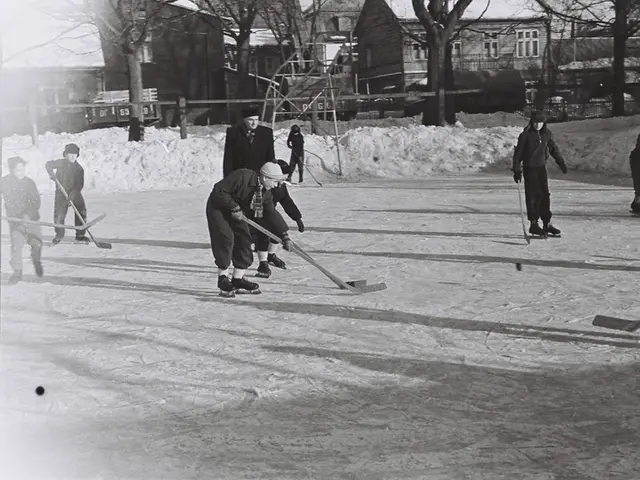 The image shows a group of people playing hockey on an ice rink surrounded by snow, trees,...