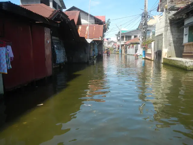 The image shows a flooded street in the middle of a small town, with houses on either side of the...
