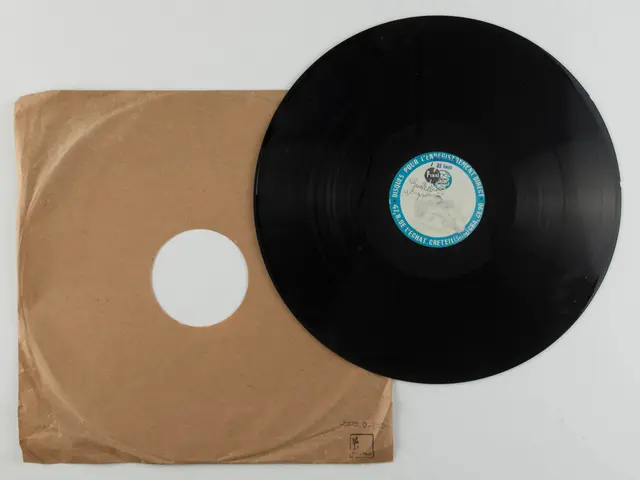The image shows a black vinyl record sitting on top of a brown paper bag on a white surface. The...