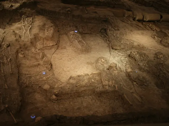 The image shows the remains of a skeleton in a dark room, illuminated by a few lights. The...