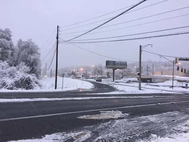The image shows a snowy street with cars driving down it, surrounded by trees covered in snow,...